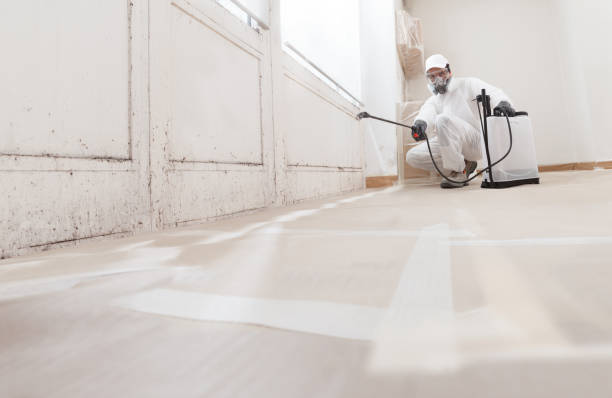 24/7 Emergency Mold Remediation experts in Jacksonville Beach, FL